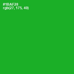 #1BAF28 - Forest Green Color Image