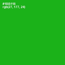 #1BB118 - Forest Green Color Image