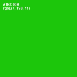 #1BC60B - Green Color Image