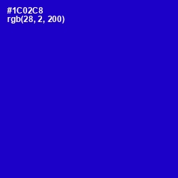 #1C02C8 - Dark Blue Color Image