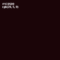 #1C0509 - Asphalt Color Image