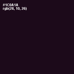 #1C0A1A - Night Rider Color Image
