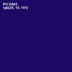#1C0A65 - Arapawa Color Image