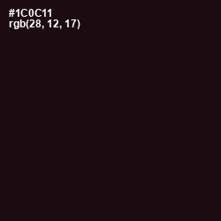 #1C0C11 - Night Rider Color Image