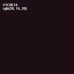 #1C0E14 - Night Rider Color Image