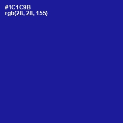 #1C1C9B - Ultramarine Color Image