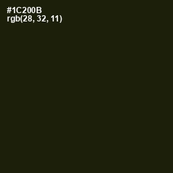 #1C200B - Deep Forest Green Color Image
