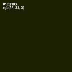 #1C2103 - Deep Forest Green Color Image