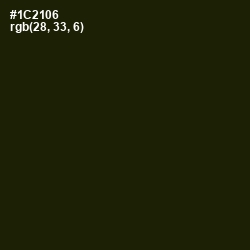 #1C2106 - Deep Forest Green Color Image