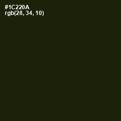 #1C220A - Deep Forest Green Color Image