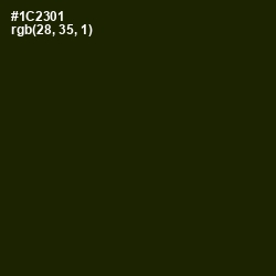 #1C2301 - Deep Forest Green Color Image