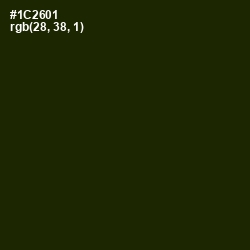 #1C2601 - Deep Forest Green Color Image