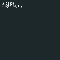 #1C2829 - Timber Green Color Image