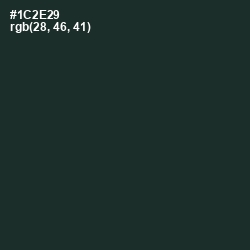 #1C2E29 - Timber Green Color Image