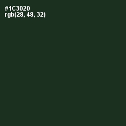 #1C3020 - Celtic Color Image