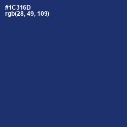 #1C316D - Biscay Color Image