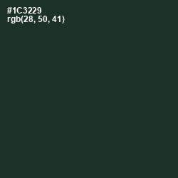 #1C3229 - Timber Green Color Image