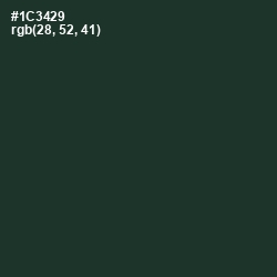 #1C3429 - Timber Green Color Image