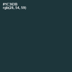 #1C363B - Gable Green Color Image