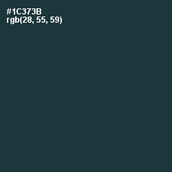#1C373B - Gable Green Color Image