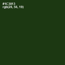#1C3813 - Palm Leaf Color Image