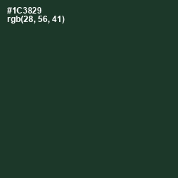 #1C3829 - Timber Green Color Image