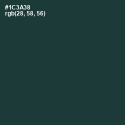 #1C3A38 - Gable Green Color Image