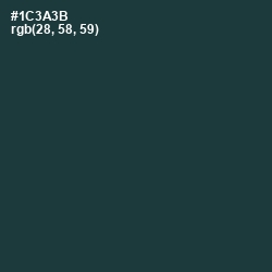 #1C3A3B - Gable Green Color Image