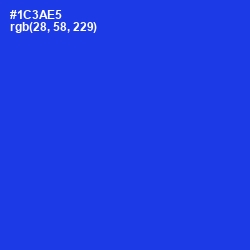 #1C3AE5 - Blue Color Image
