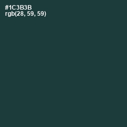 #1C3B3B - Gable Green Color Image