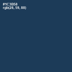 #1C3B58 - Cello Color Image