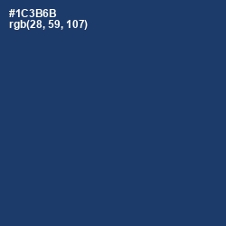 #1C3B6B - Biscay Color Image