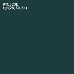 #1C3C3D - Gable Green Color Image