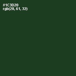 #1C3D20 - Celtic Color Image