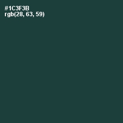#1C3F3B - Gable Green Color Image