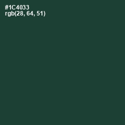 #1C4033 - Te Papa Green Color Image