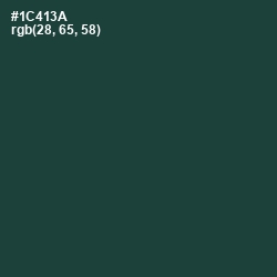 #1C413A - Te Papa Green Color Image