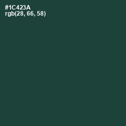 #1C423A - Te Papa Green Color Image