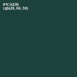 #1C423B - Te Papa Green Color Image