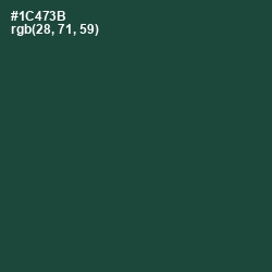 #1C473B - Te Papa Green Color Image