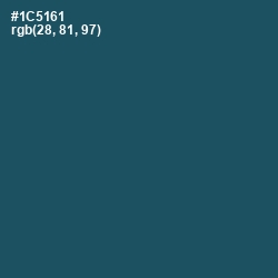 #1C5161 - Chathams Blue Color Image