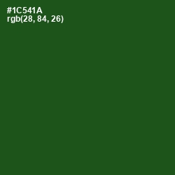 #1C541A - Parsley Color Image