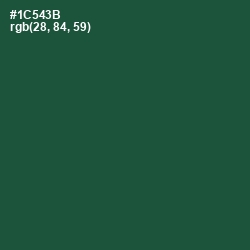 #1C543B - Te Papa Green Color Image