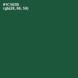 #1C563B - Te Papa Green Color Image