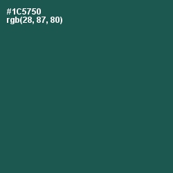 #1C5750 - Eden Color Image