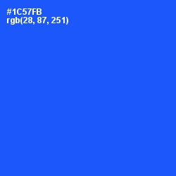 #1C57FB - Blue Ribbon Color Image
