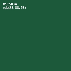 #1C583A - Te Papa Green Color Image