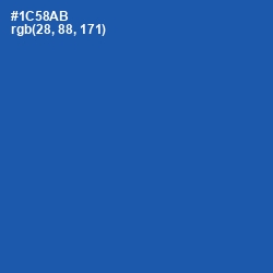 #1C58AB - Fun Blue Color Image