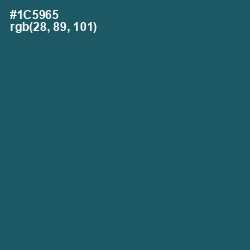 #1C5965 - Chathams Blue Color Image