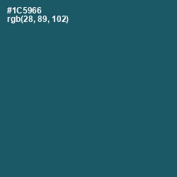#1C5966 - Chathams Blue Color Image